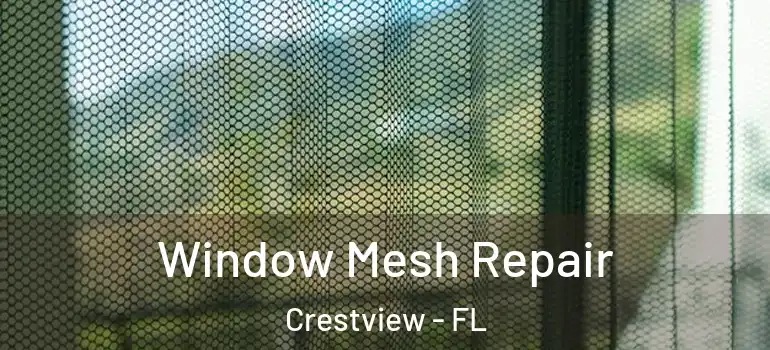  Window Mesh Repair Crestview - FL